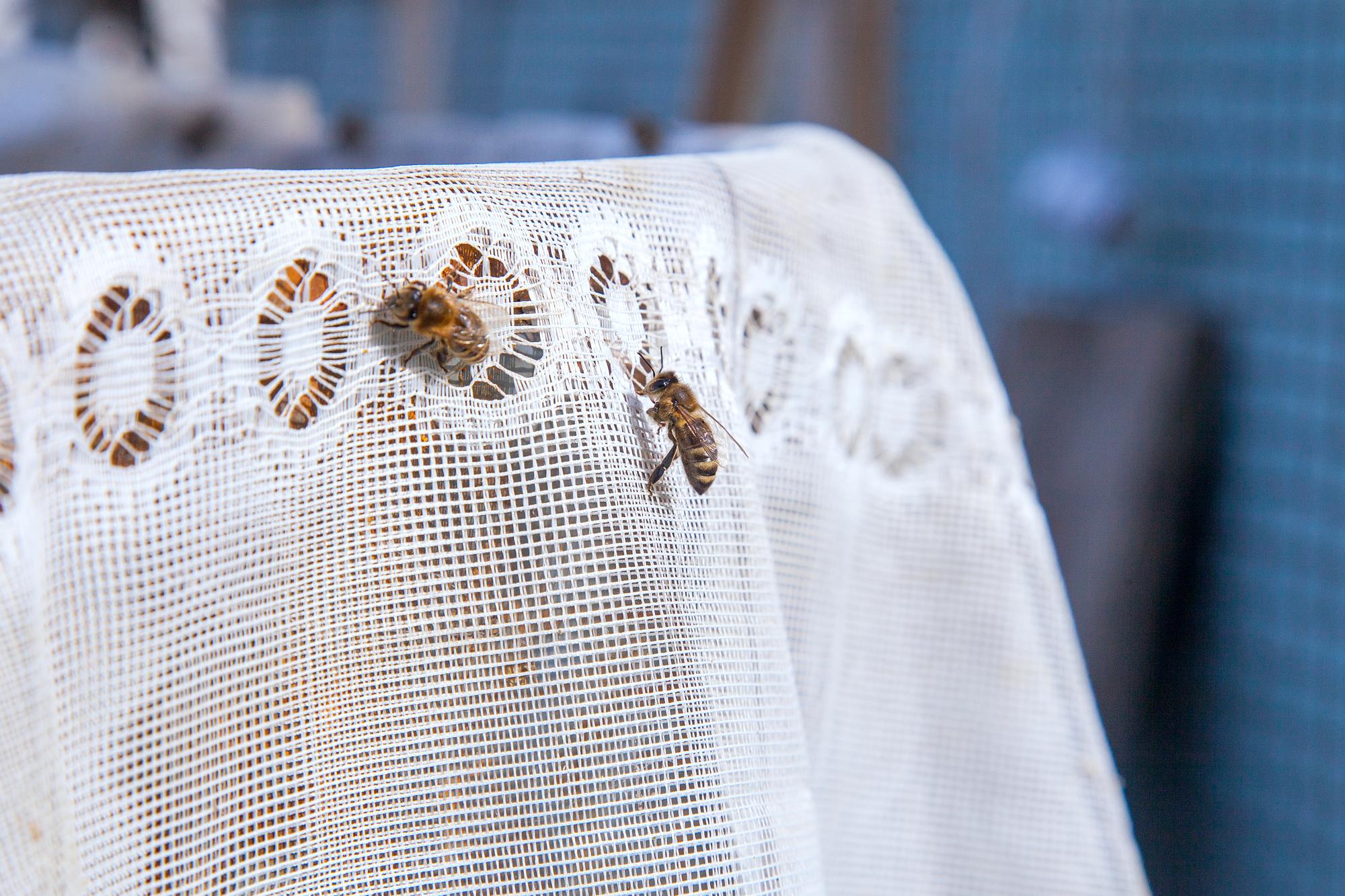 Embroidered table runner on wooden table